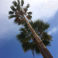 фото из отзыва ID 1749240