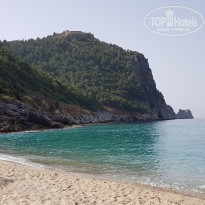 фото из отзыва ID 1749271