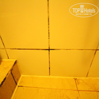 фото из отзыва ID 1749327