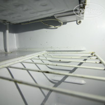 фото из отзыва ID 1749327