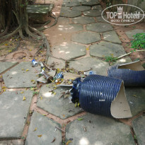 фото из отзыва ID 1749384