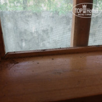 фото из отзыва ID 1749399