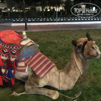 фото из отзыва ID 1749420