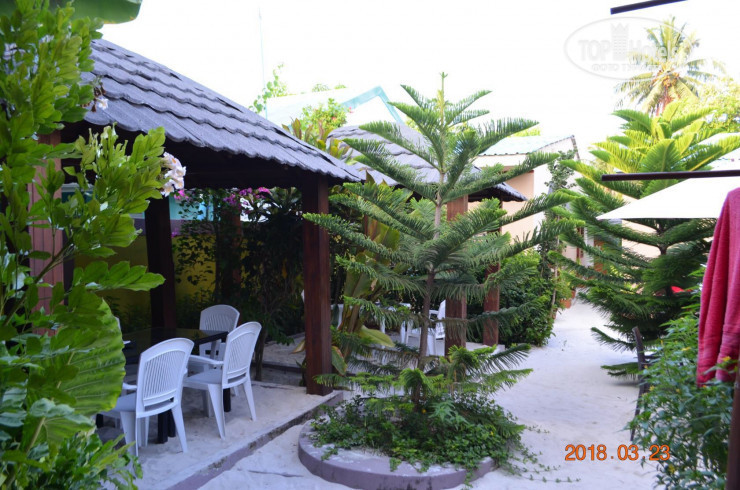 New photos from tourists New Moon Village 3*