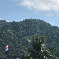 фото из отзыва ID 1749655