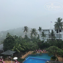 фото из отзыва ID 1749655