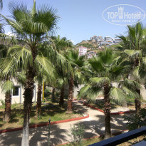 фото из отзыва ID 1749783