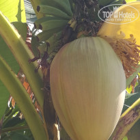 фото из отзыва ID 1749867