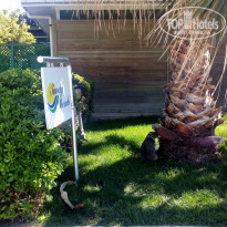 фото из отзыва ID 1746927