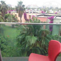 фото из отзыва ID 1749419