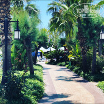 фото из отзыва ID 1744336