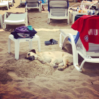 фото из отзыва ID 1744336