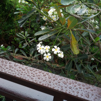 фото из отзыва ID 1749683