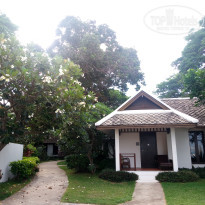 фото из отзыва ID 1749683