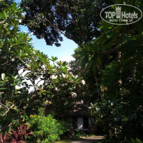 фото из отзыва ID 1749683