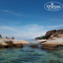 фото из отзыва ID 1749683