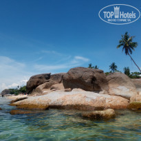 фото из отзыва ID 1749683