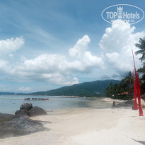 фото из отзыва ID 1749683