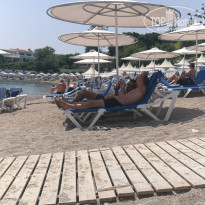 фото из отзыва ID 1748412