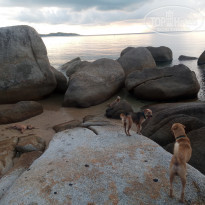 фото из отзыва ID 1749683