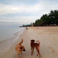 фото из отзыва ID 1749683