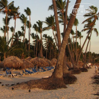 фото из отзыва ID 175100