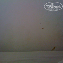 фото из отзыва ID 175643