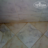 фото из отзыва ID 175643