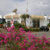 фото из отзыва ID 175894