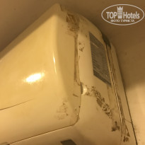 фото из отзыва ID 1750012