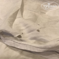 фото из отзыва ID 1750012