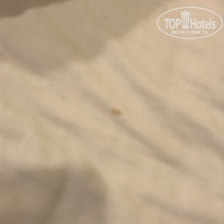 фото из отзыва ID 1750012