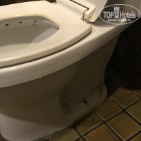 фото из отзыва ID 1750012