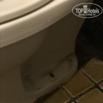 фото из отзыва ID 1750012