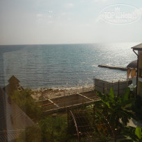 фото из отзыва ID 1750021