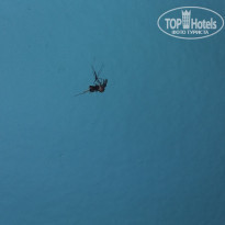 фото из отзыва ID 1750082