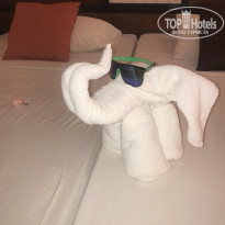 фото из отзыва ID 1750100