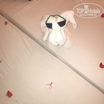 фото из отзыва ID 1750100