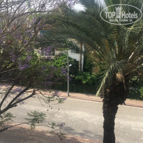 фото из отзыва ID 1750137