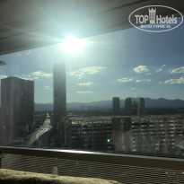 фото из отзыва ID 1750139