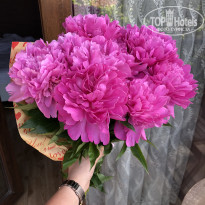 фото из отзыва ID 1750215