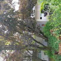 фото из отзыва ID 1750240