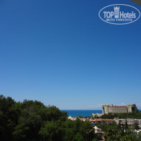 фото из отзыва ID 1750294