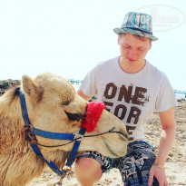 фото из отзыва ID 1750333