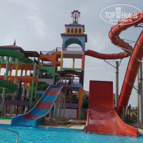 фото из отзыва ID 1750341