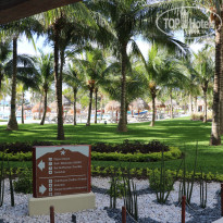 фото из отзыва ID 1750398