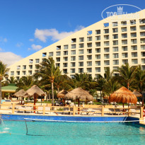 фото из отзыва ID 1750398