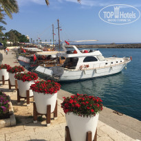 фото из отзыва ID 1750542