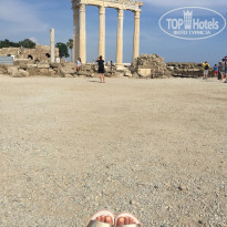 фото из отзыва ID 1750542