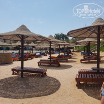 фото из отзыва ID 1750575